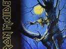 Fear of the Dark by Iron Maiden (Double Vinyl LP Record, 2017)