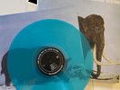King Gizzard & The Lizard Wizard Polygondwanaland Blue Colored Vinyl Fuzz Club
