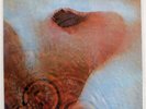 PINK FLOYD MEDDLE HARVEST EMS80322 JAPAN VINYL LP