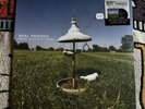 Real Friends More Acoustic Songs /2000 Picture Disc EP Vinyl Record