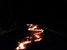 BOB MOSES: BATTLE LINES (180gm 2LP UK Import)(Domino2018)