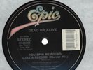 Dead Or Alive You Spin Me Round / Misty Circles Vinyl Single 12inch Epic