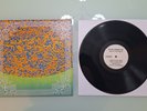 Black Magick SS - Hidden In Plain Sight Vinyl LP + Bmss Panzerwitch + Bmss SOGP