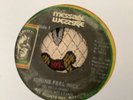 Delroy Williams , Idrens Feel Nice  , 7”Message.