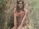 Olivia Newton John If Not For You LP Still Sealed USA