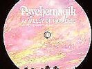 Psychemagik - Valley Of Paradise (12