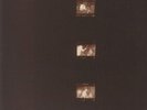 Lync - These Are Not Fall Colors (LP+LP) (180g, Color Blend)