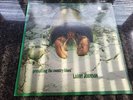 RARE BLUES-LARRY JOHNSON-PRESENTING THE COUNTRY BLUES-UK BLUE HORIZON STEREO LP