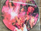 Jimi Hendrix -picture Vinyl- the L.A. forum concert - Volume 1+ 2