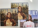 Lana Del Rey Born To Die The Paradise Edition 3LP Slipcase Box Set Vinyl Limited