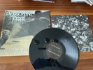 EXCRUCIATING TERROR -divided we fall 1ST PRESS 1998 LP SHRINK death grind