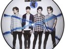 5 Seconds Of Summer Self-Titled PICTURE DISC RARE 2014 Record store day