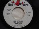 RARE NORTHERN SOUL 45 – TAWNY REED – I GOT A FEELING - RED BIRD