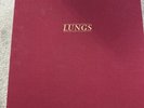 florence and the machine Lungs Box Set