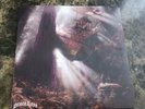 Robi Draco Rosa Vagabundo 22 Double 180g Black Vinyl Gatefold Used, Excellent