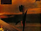 The Pretty Things - Parachute 50th Anniversary Vinyl  (2020 - EU - Original)