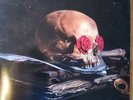 Grateful Dead vinyl 3 LP Grayfolded Dark Star experimental John Oswald