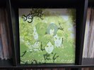 Beachwood Sparks - Once We Were Trees (Vinyl, Oct-2001, Sub Pop Records