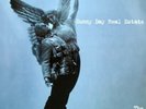 The Rising Tide by Sunny Day Real Estate Clear Vinyl 2xLP Record Store Day