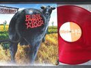 Limited edition remastered rock lp BLINK 182 Dude Ranch SRC 2016 red vinyl NM