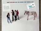 Soul Asylum – And The Horse They Rode In On 1990 alt rock LP BLUE COLORED VINYL