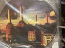 Animals by Pink Floyd (Record, 2016)