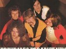 GROUP 1850 - Paradise Now - Vinyl (LP)