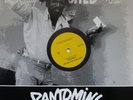 Glen Brown/Sylford Walker/Welton Irie-Save Our Nation (10',South East Music Ltd)