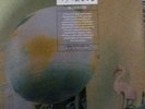 [1/15000 Rare] Oasis Definitely Maybe | 30th Anniversary Lenticular Sleeve Vinyl
