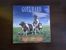 GOTTHARD Made in Switzerland DoLP KROKUS AC/DC LED ZEPPELIN SHAKRA MAHOGANY RUSH