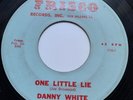 DANNY WHITE - ONE LITTLE LIE - FRISCO 110.