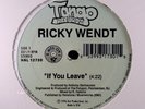 SEALED Ricky Wendt - If You Leave 12