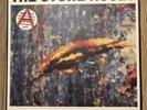 The Stone Roses 12