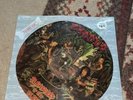 EXODUS PLEASURES OF THE FLESH 1987 COMBAT PICTURE DISC LP LTD. EDITION #8339 OOP