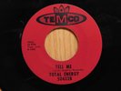 Total Energy Michigan hard rock psych garage 45 Free Your Mind on Temco