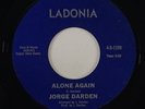 Jorge Darden 