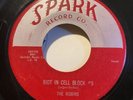 Robins Riot In Cell Block #9 / Wrap It Up 7” Orig 45 RPM Spark #103 Doo Wop