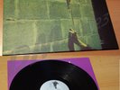 PINNACLE Assassin LP 1974 Hard Psychedelic Rock 1990 Reissue Little Wing LW 2007