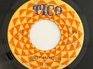 LA LUPE - DONT PLAY THAT SONG / RARE LATIN SOUL COVER 45 TICO