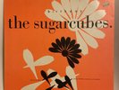 The Sugarcubes - Birthday (12