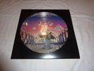 PICTURE DISC  12