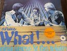 Brian Auger & The Trinity - Definitely What  LP NEAR MINT SD 33-273 White Promo