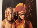 THE CREATURES Feast SIOUXSIE & THE BANSHEES POLYDOR 1983 UK Import Plays VG+