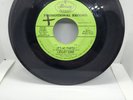 *RARE PROMO* LESLEY GORE – IT'S MY PARTY / DANNY - GREEN LABEL MERCURY #72119