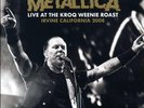 Metallica - Live At The KROQ Weenie Roast, Irvine, California 2008 (2x