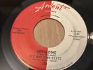 RARE The Ole Miss Down Beats Geraldine 45rpm