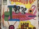 The Beatles “Hello,Goodbye” Vinyl 7” Airplane 1967 Single