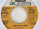 SWELELE Smoke My Herb X RATED 90's Roots Reggae 7