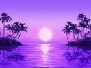 Purple Disco Machine - Paradise Limited Edition Vinyl 12