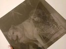 Lana Del Rey - Chemtrails over the Country Club (Vinyl, 2021) NEW NEVER OPENED